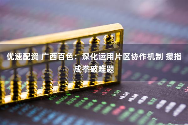 优速配资 广西百色：深化运用片区协作机制 攥指成拳破难题