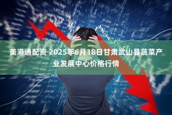 美港通配资 2025年6月18日甘肃武山县蔬菜产业发展中心价格行情